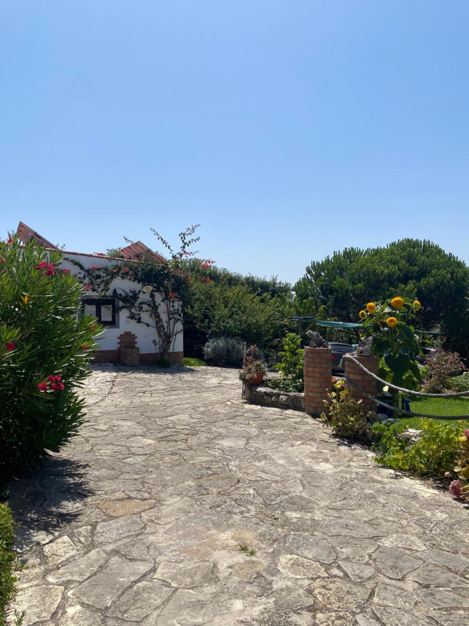 Hotel Pateo Do Duque à Salir de Matos Extérieur photo